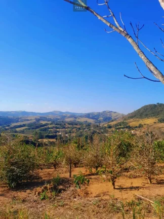 Imagem Terreno imperdível no Bairro do Livramento em Socorro-SP