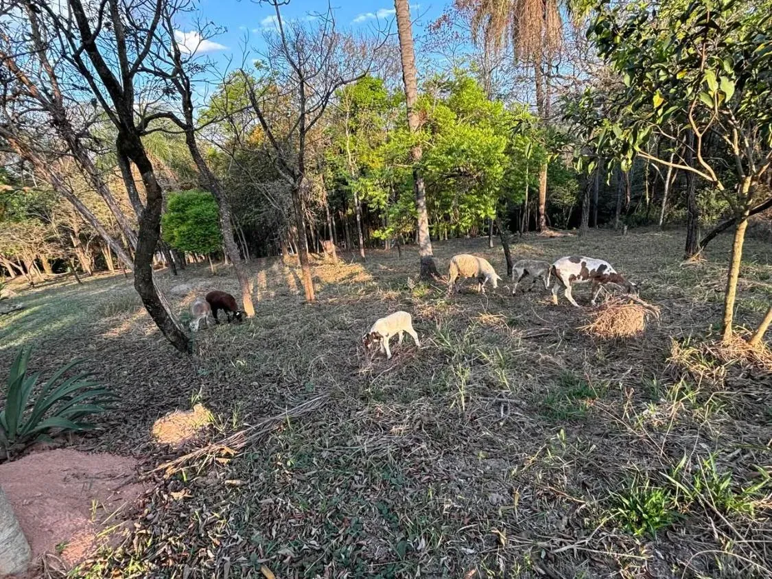 Imagem Excelente sítio a venda com 2 hectares, OU SEJA, ( 20.000 M² ) em Betim