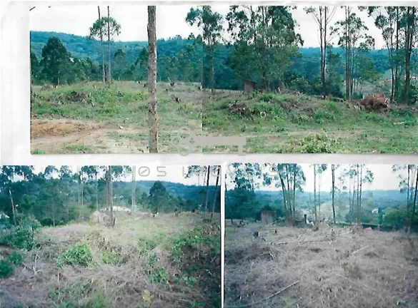 Imagem Lote de 1.550,32 m² próximo à Estrada do Capuava - entre Granja e o Embu.