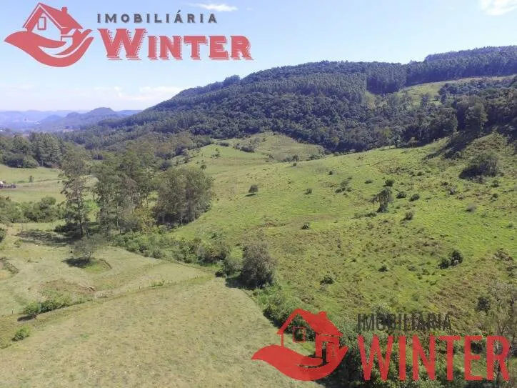 Imagem Fazenda de 61 hectares na cidade de Linha Nova.