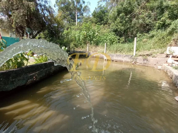 Imagem Chácara com Lago em Terra Preta / Mairiporã