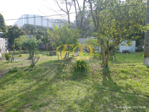 Imagem Área Comercial, Residencial ou Industrial em Terra Preta