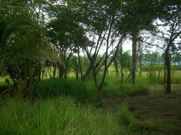 Imagem Chácara com 1000 m² à venda em Porangaba.