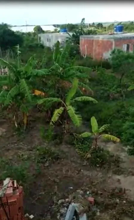 Imagem Casa para Venda em São Pedro da Aldeia / RJ no bairro São Mateus