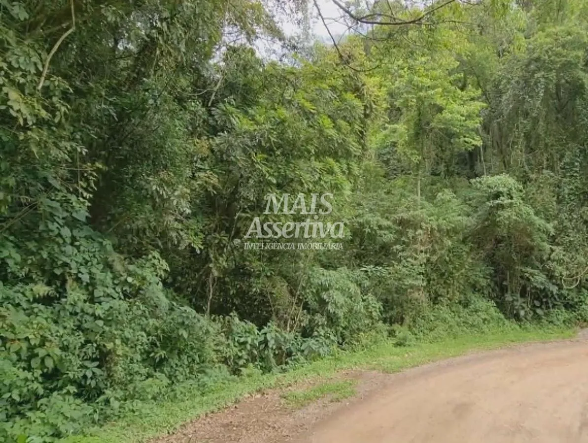 Imagem Sítio para Venda em São Francisco De Paula / RS no bairro Centro