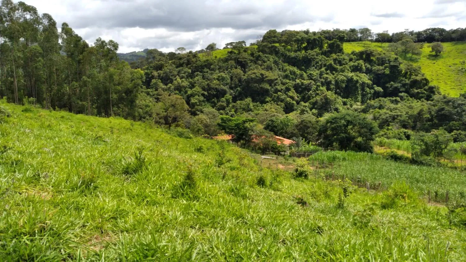 Imagem Vendo um ótimo sítio em Itaguara/Mg com 78.000 m² de terra,
