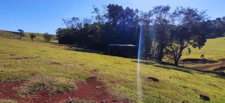 Imagem Chácara à venda em Cascavel - Área Rural com Energia Elétrica e Rio