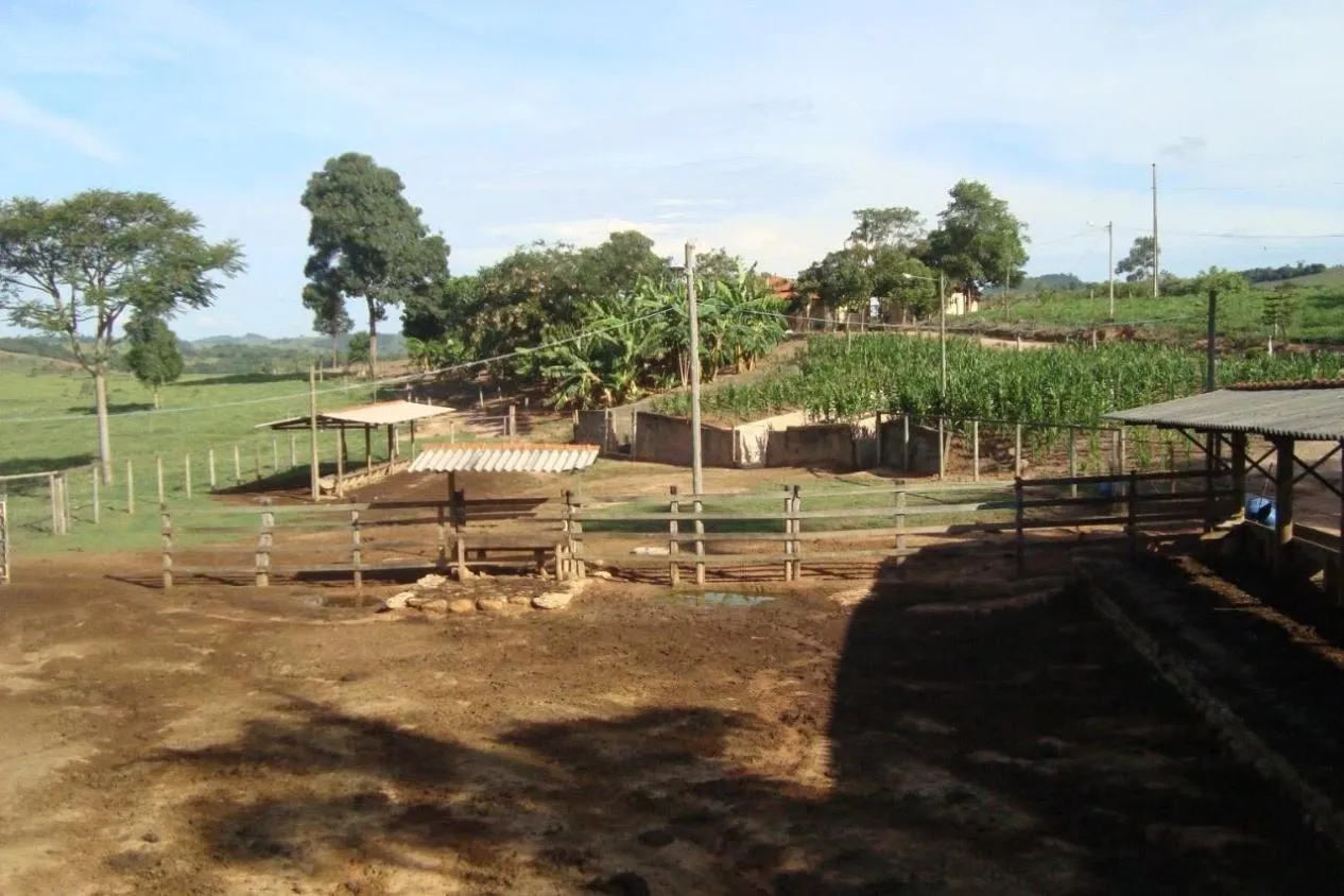 Imagem Vendo uma excelente fazendinha em Crucilândia/MG Área total de 57 hectares