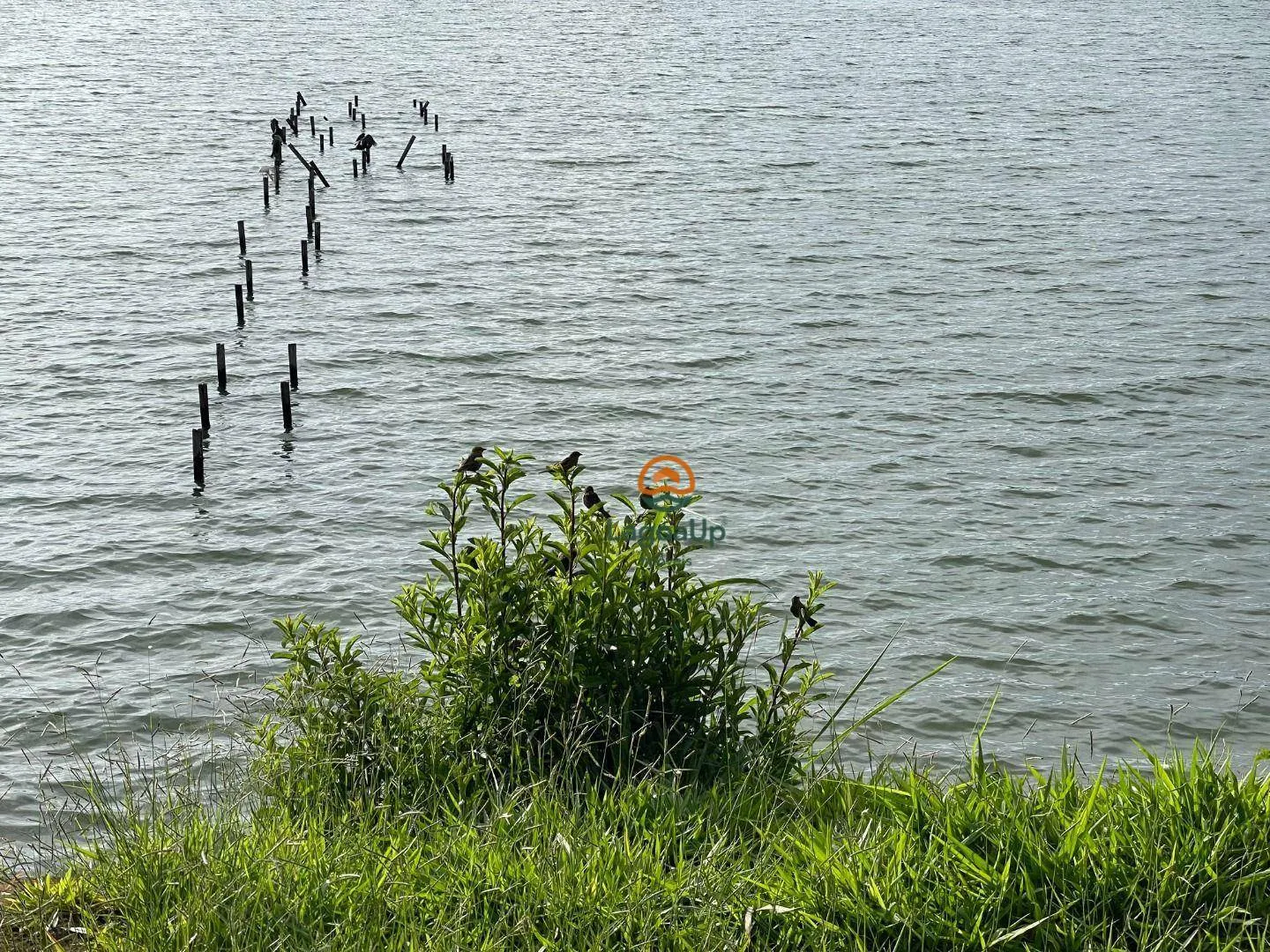 Imagem Terreno à venda no Lundceia - Lagoa Santa, Minas Gerais