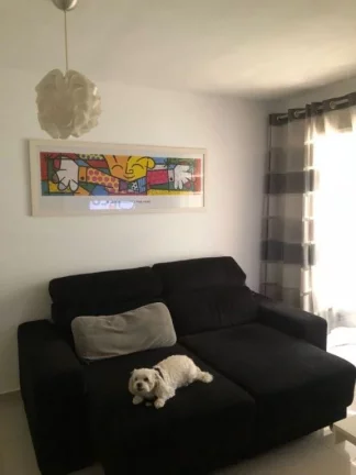 Imagem Apartamento à Venda em Vila Guilherme, São Paulo - SP