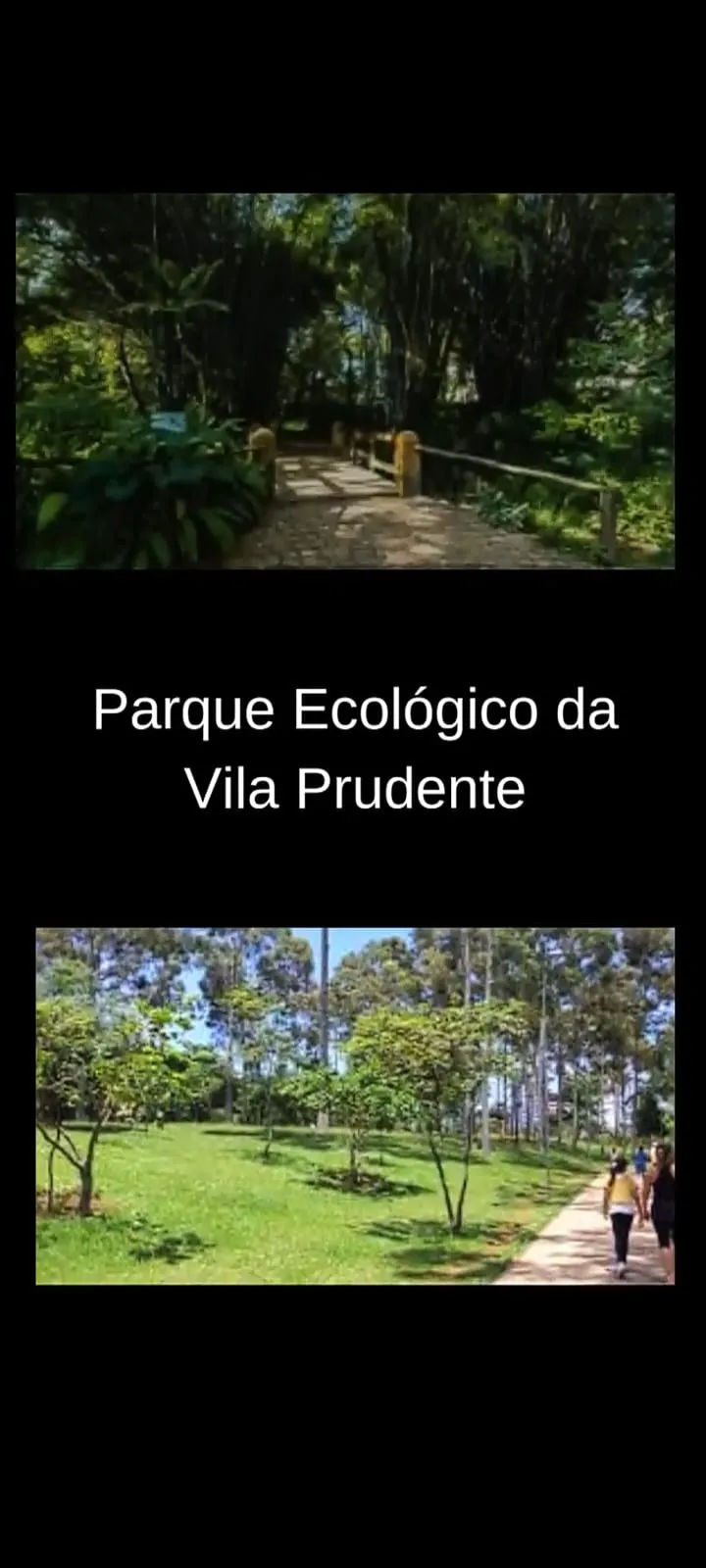 Imagem Apartamento à venda em São Paulo-SP, Parque Sevilha: 2 quartos, 1 sala, 1 banheiro, 1 vaga, 42m². Venha conferir!