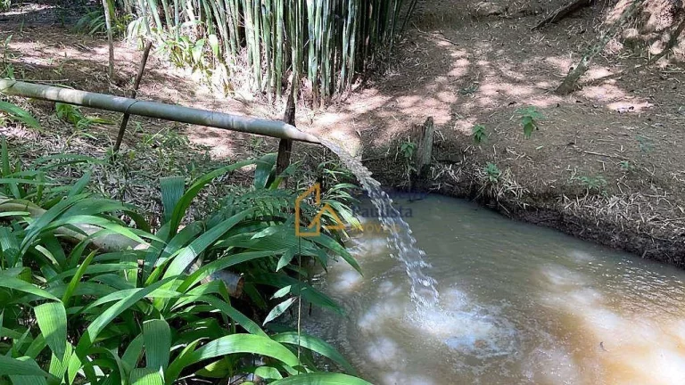 Imagem Chácara à venda - Margem Esquerda - Cachoeira Paulista/SP