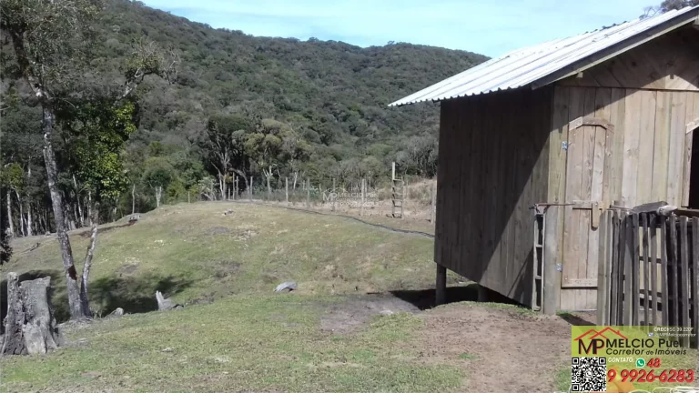 Imagem Lindo sítio a VEDA localizado em Rancho Queimado. Ótima propriedade para pastagens 06 hectares (todo cercado com 10 fios de arame); Escritura pública;