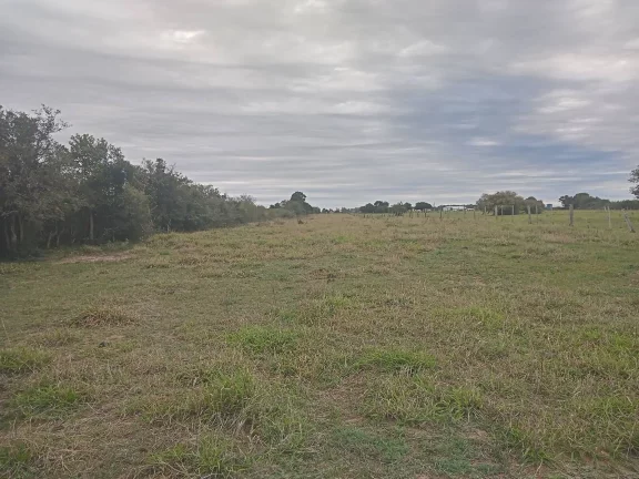 Imagem EXCELENTE LOGÍSTICA!!! Sitio de 2 Hectares com Casa, Boa Vista, Viamão