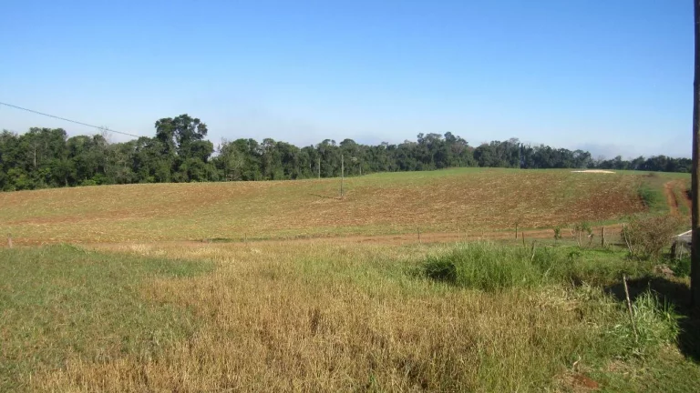 Imagem Terreno para Venda em Concórdia, Santo Antônio