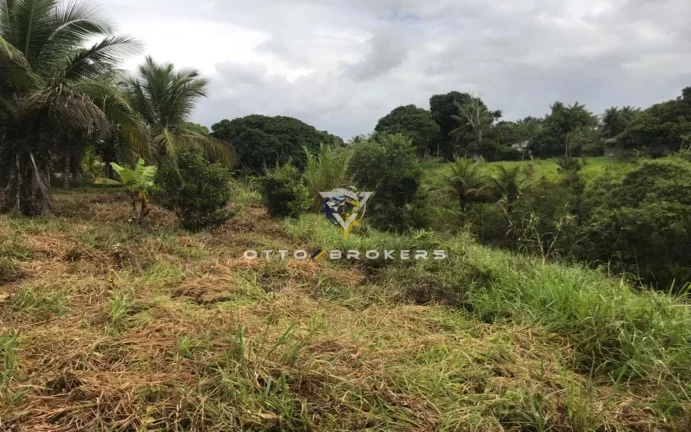 Imagem AREA RESIDENCIAL em SANTA CRUZ CABRÁLIA - BA, TÂNIA