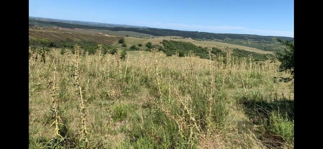 Imagem Fazenda em Zona Rural