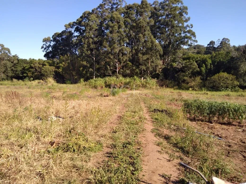 Imagem Area para Venda - 36.900m² - Campo Novo