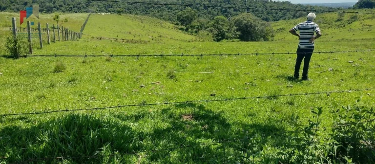 Imagem Sítio à venda no bairro Centro - Guareí/SP