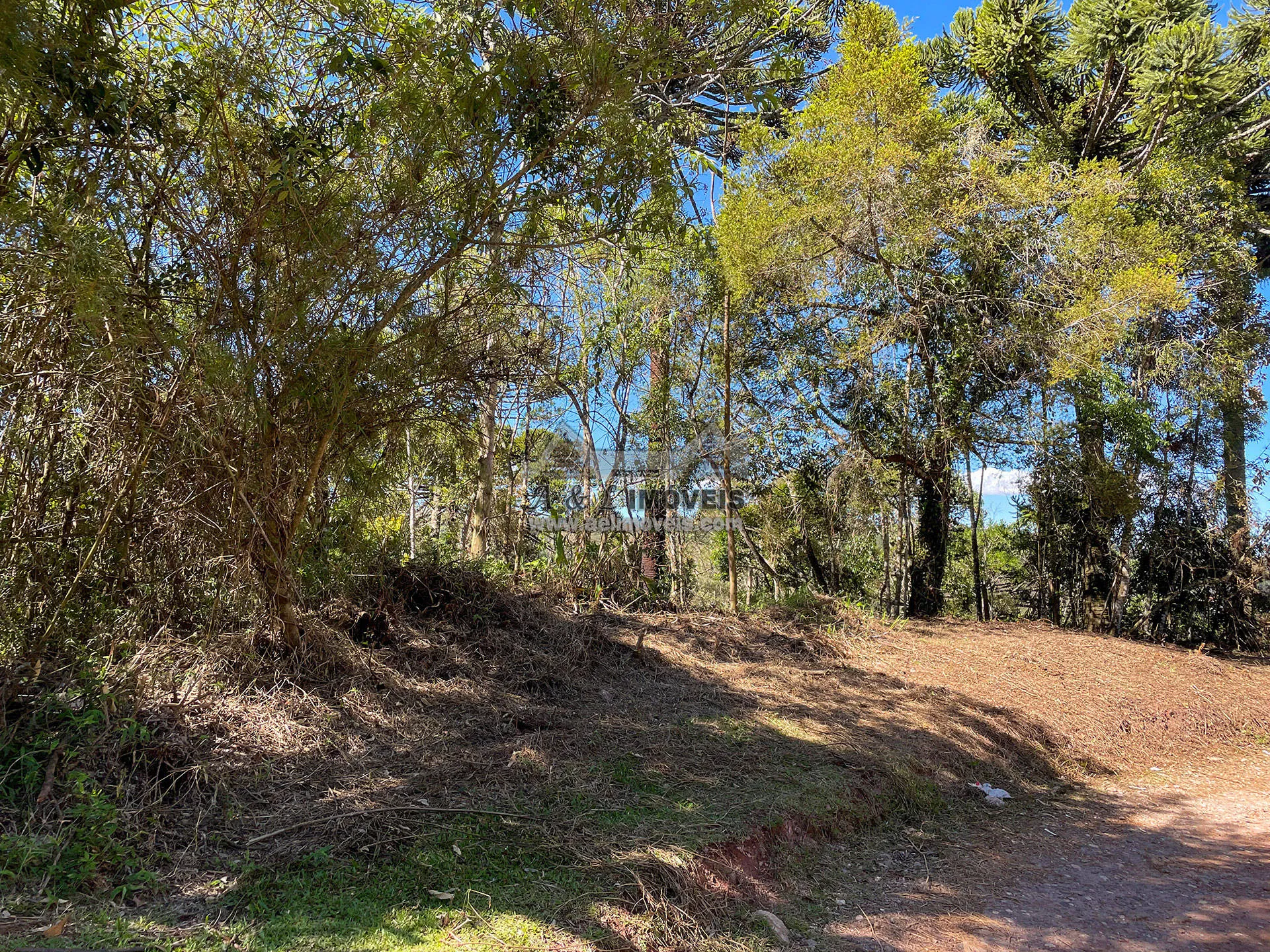 Imagem Terreno à venda em Campos do Jordão - Excelente opção para investimento