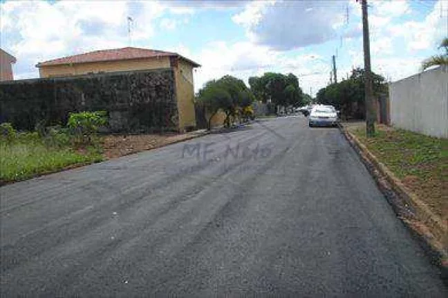 Imagem Terreno Padrão