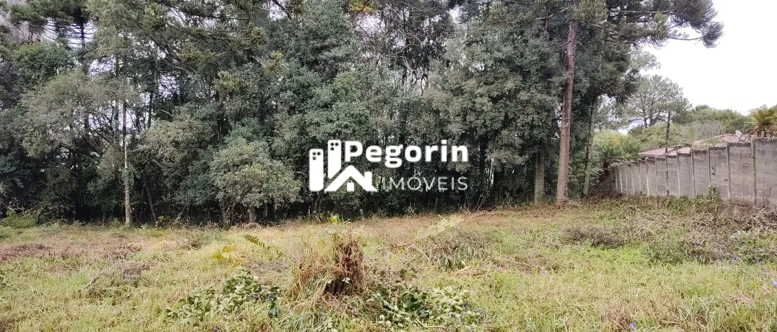 Imagem TERRENO 6325M² Á VENDA EM PINHAIS JARDIM CLÁUDIA