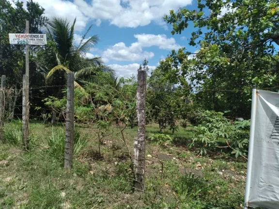 Imagem Terreno de 3000m² à venda, localizado em Chã de Onça, Paudalho - Pernambuco.
