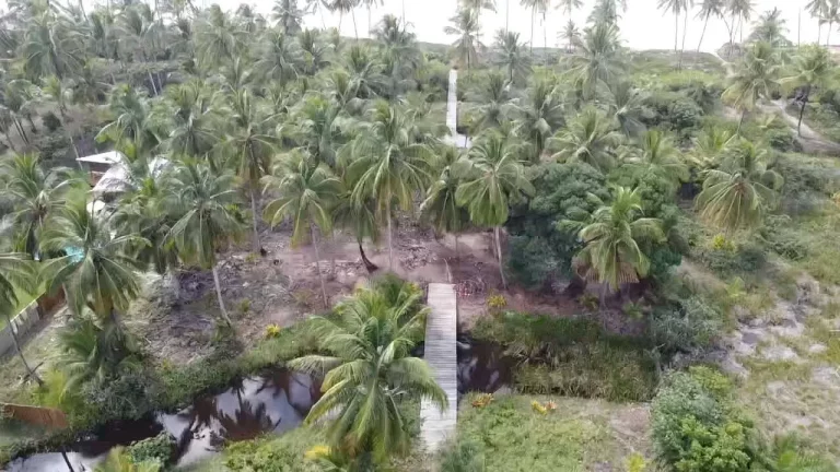 Imagem Bombaça Frente Mar