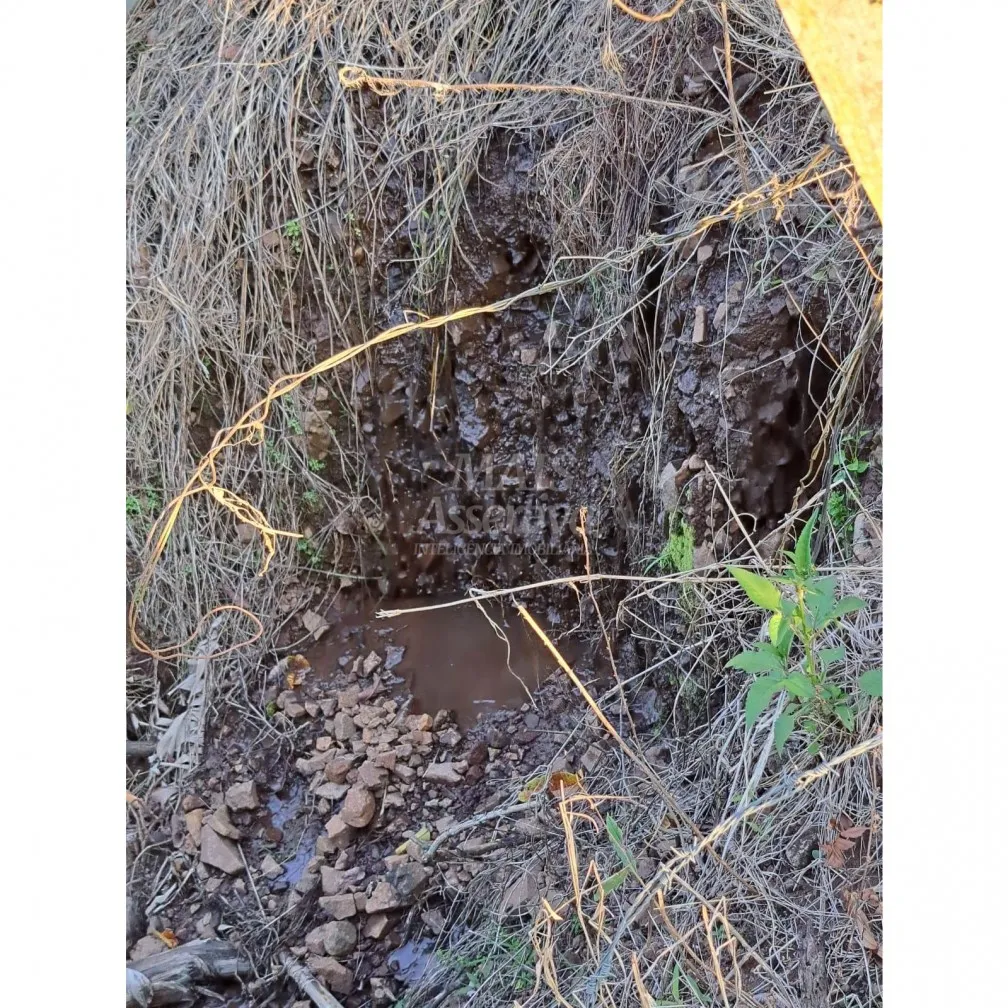 Imagem Santo Antônio da Patrulha RS - Localidade de Pinheirinhos.
R$ 270.300,00 A que busca uma área...