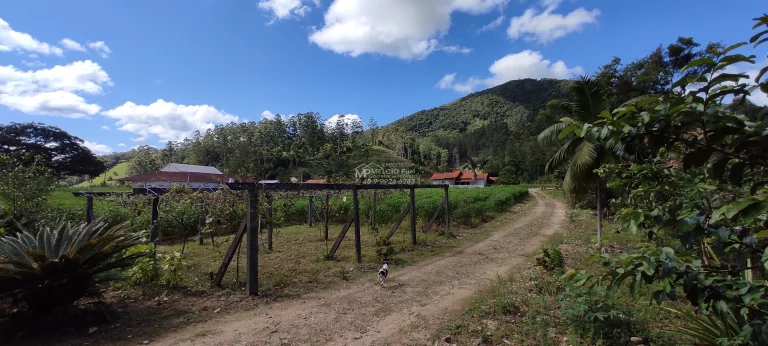 Imagem Sítio a venda, Com casa e lagoa de peixes, e riacho atravessado o terreno a 300 metros da SC 108. Boa área de 4.000m² de plantio com terra boa,