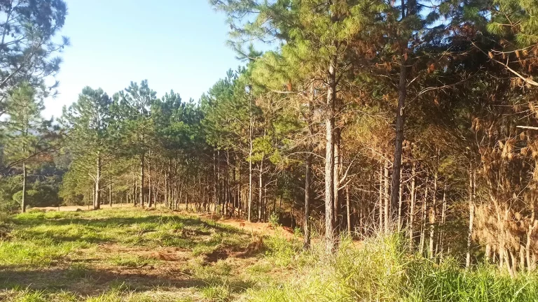 Imagem Condomínio de Chácaras Fazenda Elisa – Atibaia