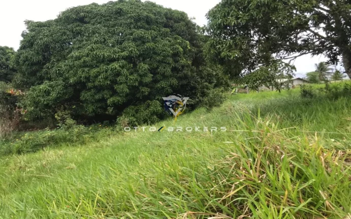 Imagem AREA RESIDENCIAL em SANTA CRUZ CABRÁLIA - BA, TÂNIA