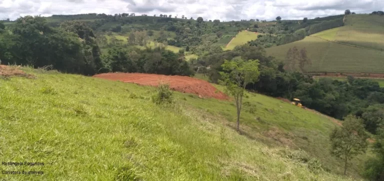Foto do imóvel CHACARA RURAL em BANDEIRA DO SUL - MG, ROSEIRA