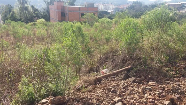 Imagem Terreno para Venda em Concórdia, Cinquentenário