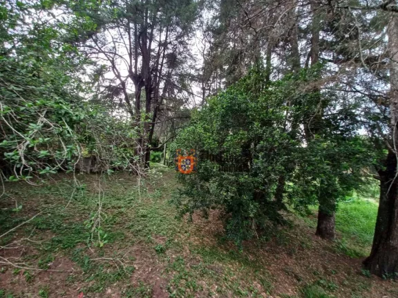 Imagem Área à venda, 21140 m² por R$ 2.500.000,00 - dos Pessegueiros - Extrema/MG