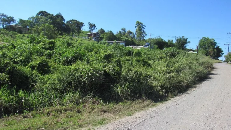 Imagem Terreno para Venda em Concórdia, Colibri