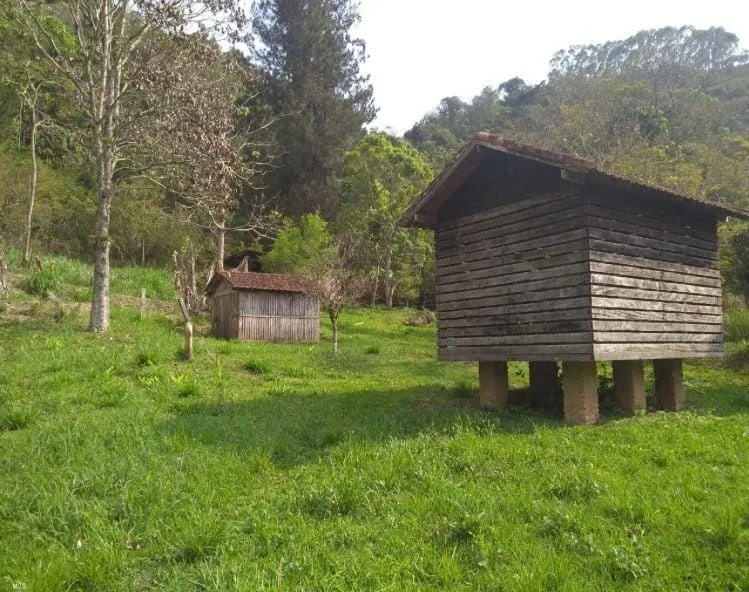 Imagem Chácara à venda, Cedro, Cunha, SP