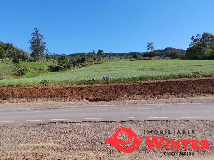 Foto do imóvel Amplos terrenos as margens da VRS 826 em Arroio Feliz-Feliz
