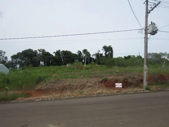 Foto do imóvel Terreno para Venda em Concórdia, Santa Terezinha em Flores do Campo