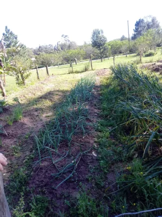 Imagem INVESTIDORES!!! Sítio com 8000m², entre as Praias de Itapuã e das Pombas