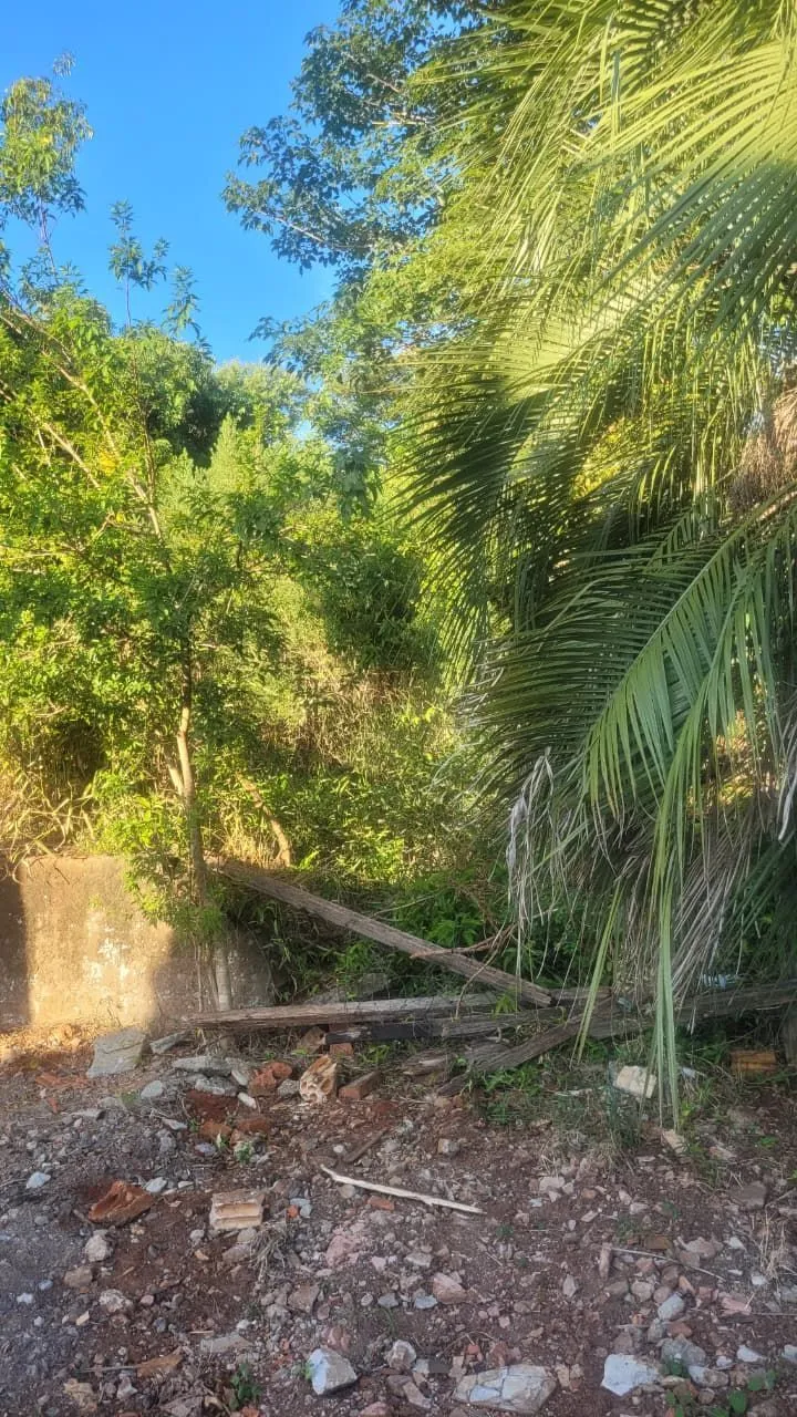 Imagem Terreno 13x30 no Leteamento Vista Alegre em Cachoeirinha