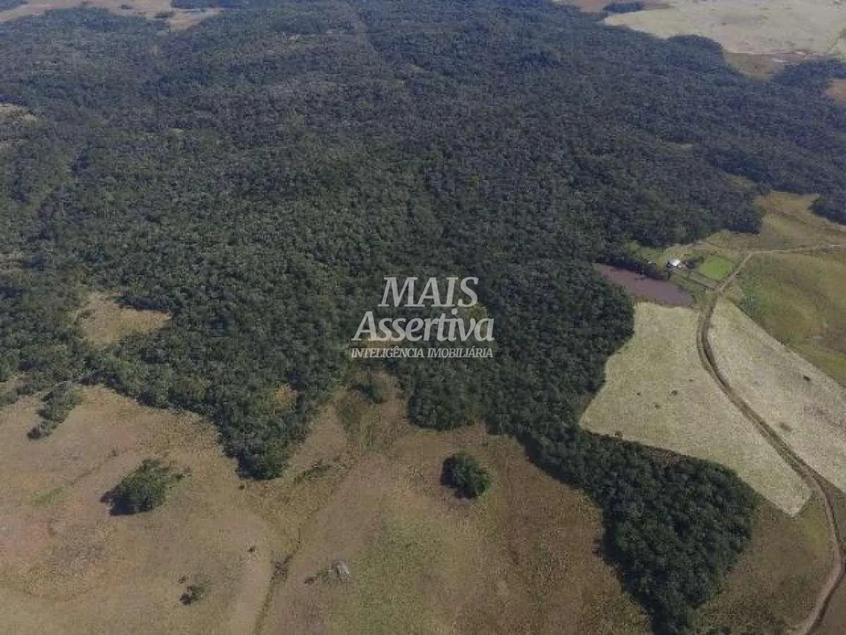 Imagem Sítio para Venda em Cambará Do Sul / RS no bairro Faxinalzinho