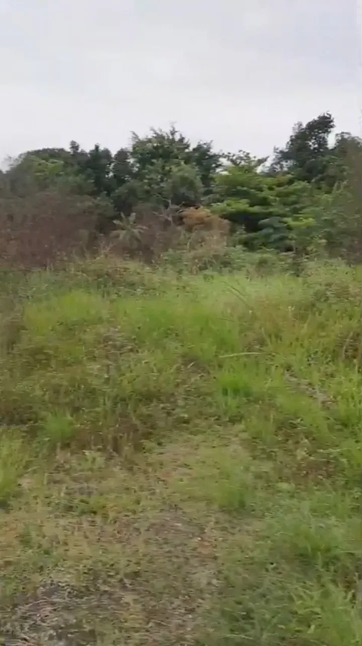 Imagem Terreno à Venda, 120 m² em Cidade Jardim Parque Estoril - Nova Iguaçu
