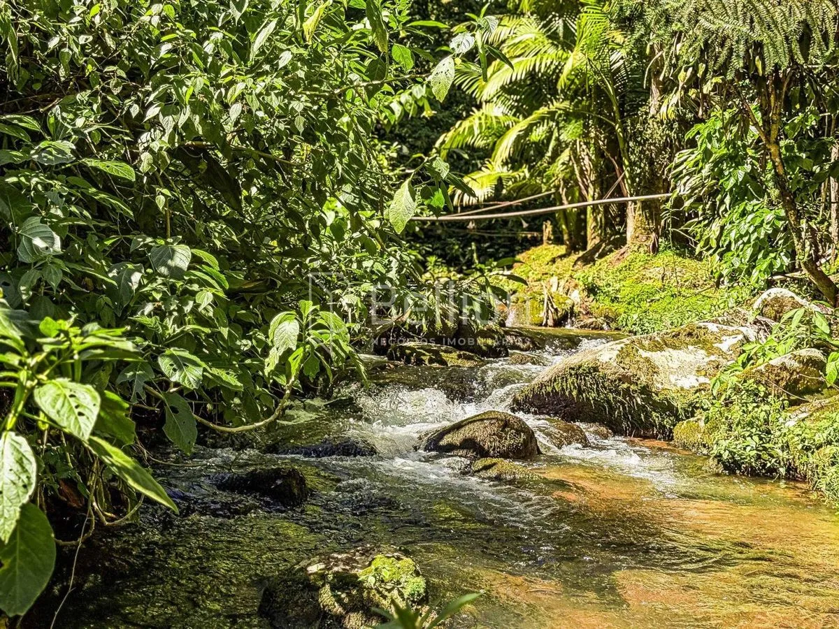 Imagem Sítio com lago e riacho em Rio dos Cedros