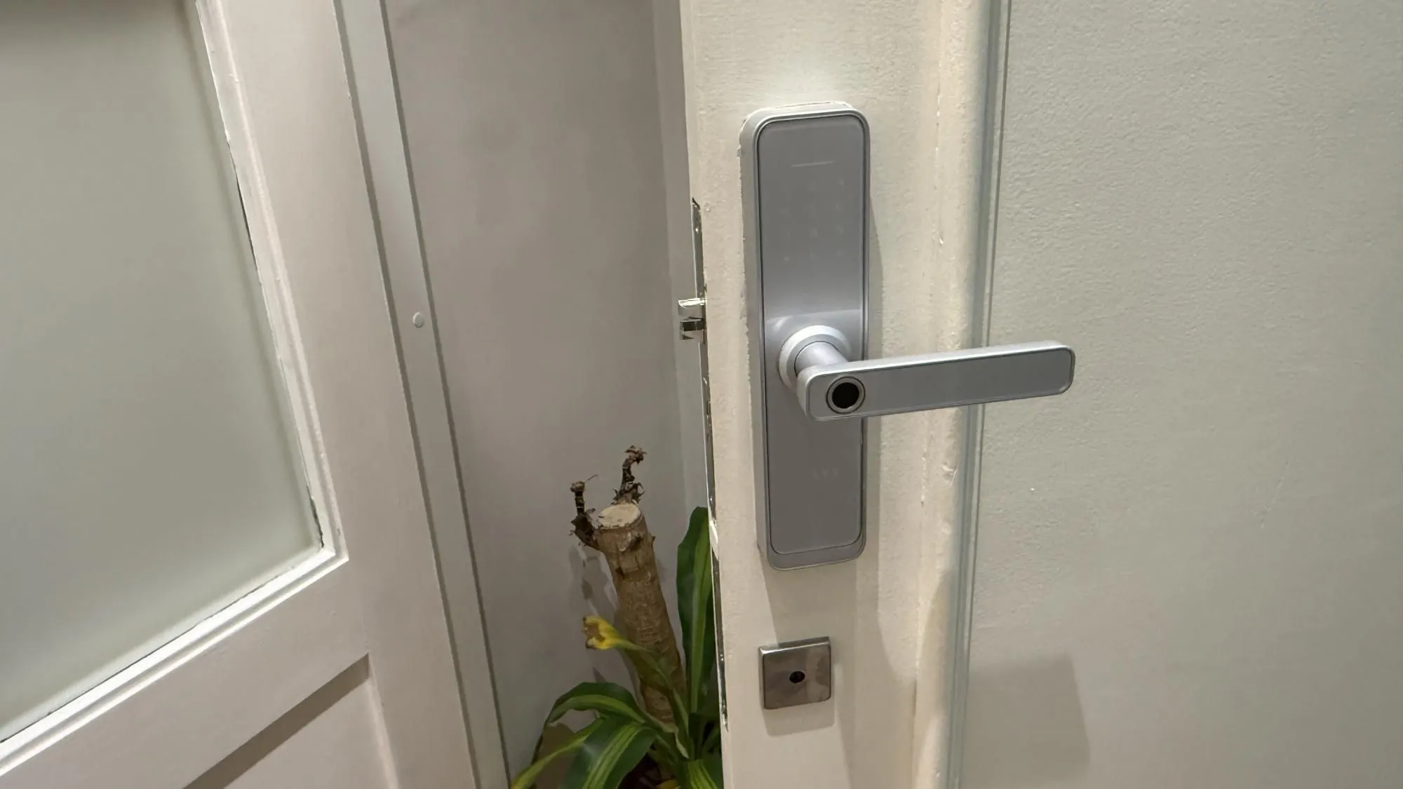 Imagem APARTAMENTO 100% REFORMADO NO PASSO D'AREIA