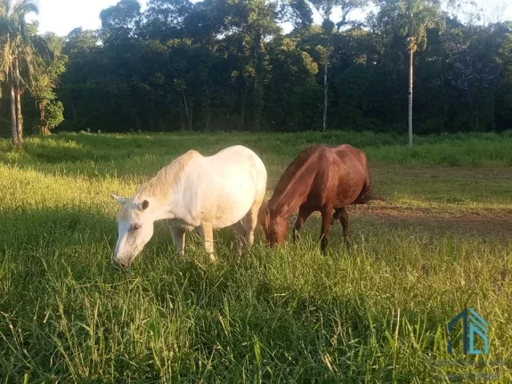 Imagem Área 331.540 mil m², Serra Negra município de Guaraqueçaba - PR (PERMUTA EM CURITIBA PR)