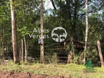 Imagem Terreno à venda, 7000 m2 por R$ 424.000,00 - Zona Rural - Canela/RS