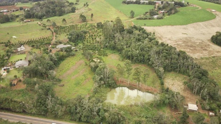 Imagem Área Agrícola para Venda em Concórdia, Rodovia