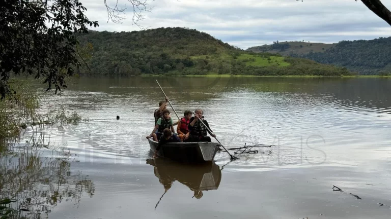 Imagem Sítio para Venda em Concórdia, Interior, 4 dormitórios, 1 banheiro, 2 vagas