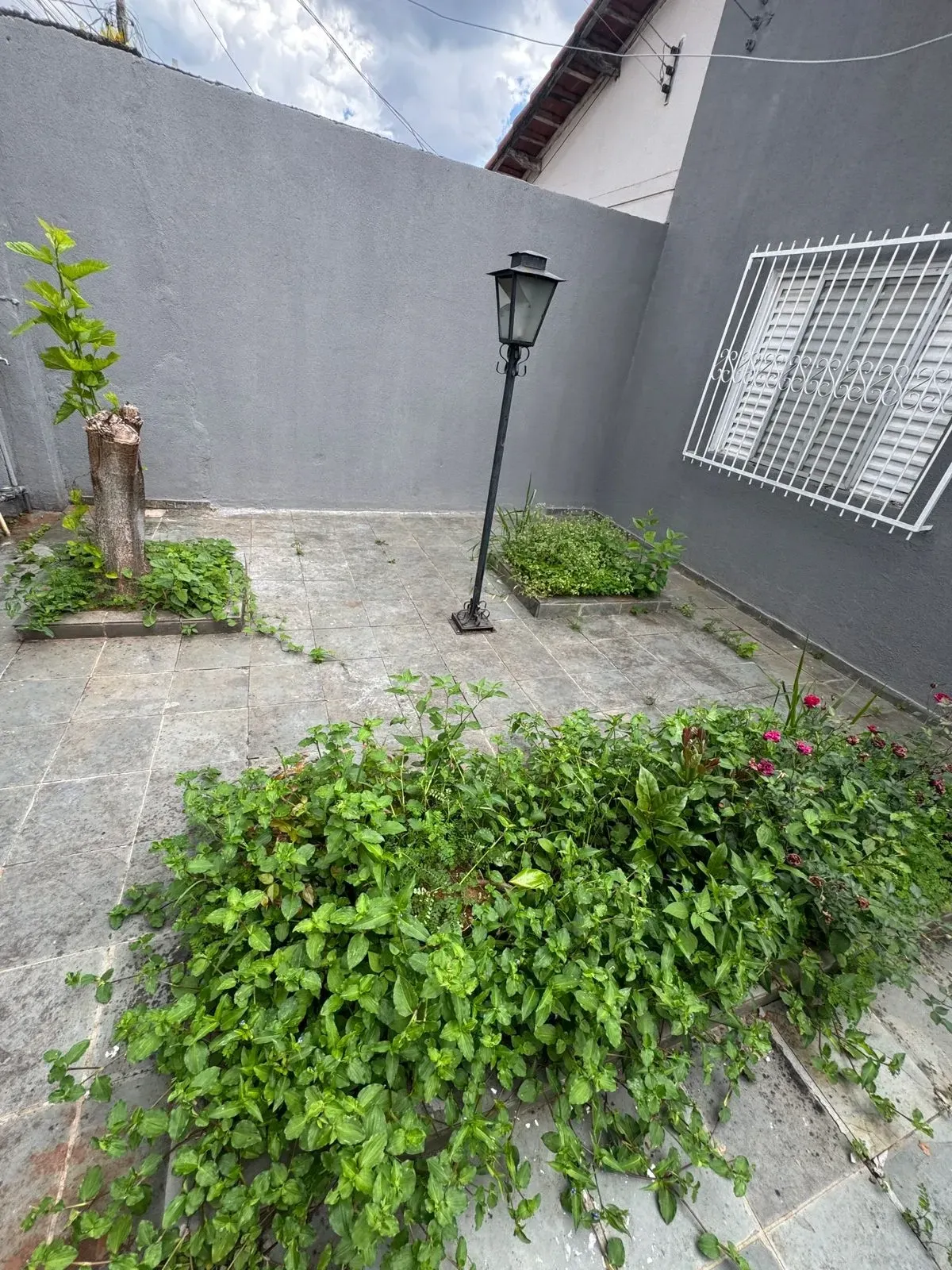 Imagem Casa com 3 Quartos à Venda, 300 m² em Parque Residencial Califórnia - Campo Limpo Paulista